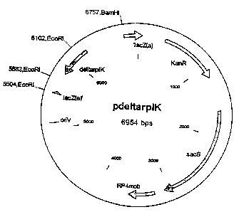 Une figure unique qui représente un dessin illustrant l'invention.